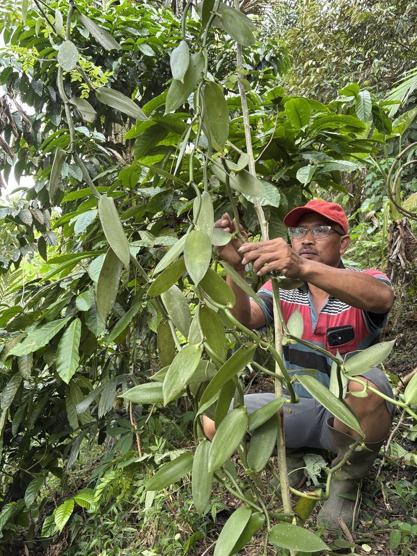 Wana Lestari community documentation photo 9