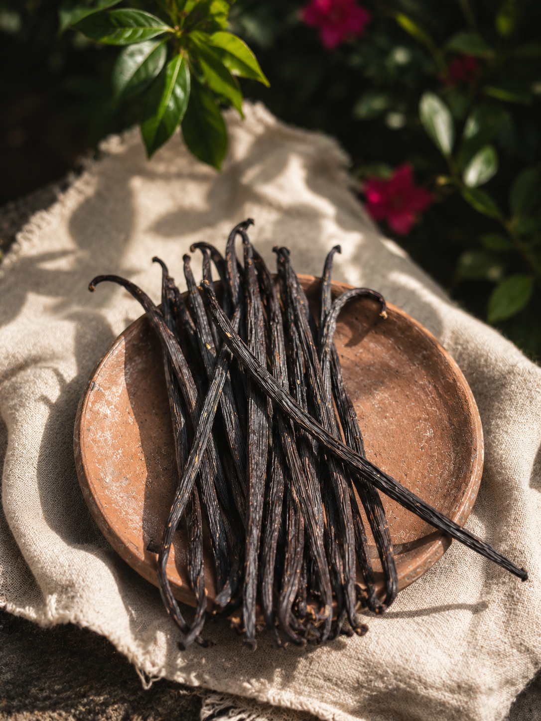 Naturally cured vanilla beans from Wana Lestari, Pupuan, Bali